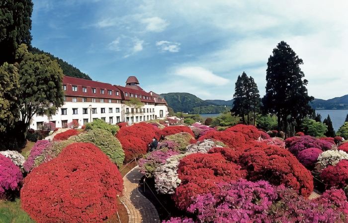 Odakyu Hotel de Yama