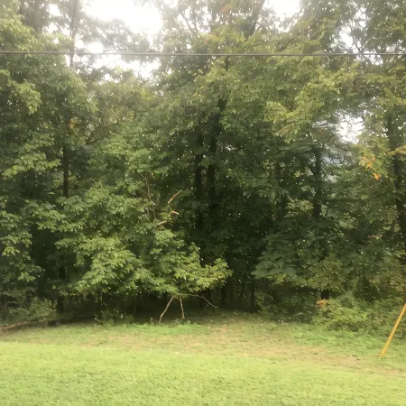Private, wooded, and convenient cottage just blocks from SOMC