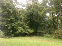 Private, wooded, and convenient cottage just blocks from SOMC