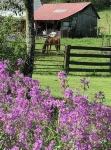 Mark of Design Farmhouse Retreat - 4-Star