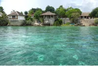 Sea Turtle House Moalboal - Ocean View
