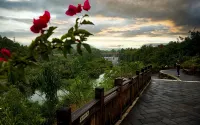 Nature Xuan B&B - ห้องครัว