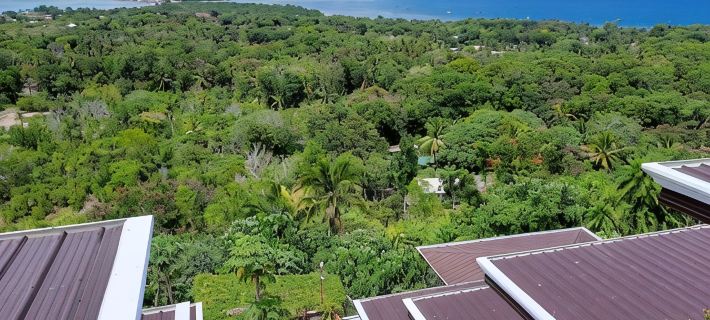 Bohol Vantage Resort Hotels in Dauis