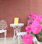 Hewan Sunshine Hotel