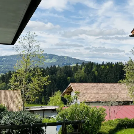 Cozy apartment on a quiet south-facing slope in close proximity to nature