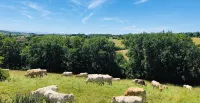 Maison de Campagne Entièrement Rénovée en Pleine Nature Gersoise - Private Pool