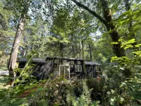The Black Bear Cabin - 2 bedrooms in the redwoods - 샬레 호텔