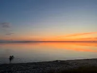 Lieblingshof Haus 2 - Modern vacation home between the Baltic Sea and the Bodden - 홈스테이