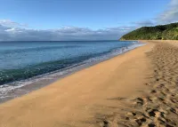 Beach Villa Don Rafa with pool and 5-bedrooms - Homestays