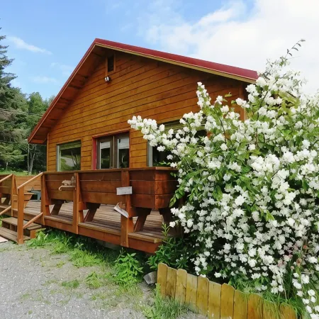 Bear Canyon Cottages - Bird House