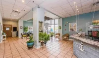 20% OFF!! - Pretty King Bed Ocean View Studio In Daytona Beach! - Apartments