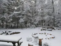 Mai's Cabin!