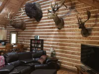 Log Home Guest House