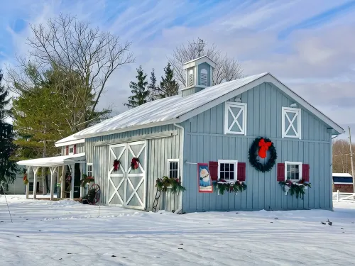 Peaceful Historic Home on 10 Acres w/ Lake, Barn & Fire Pit - 5 Bedrooms - Homestays