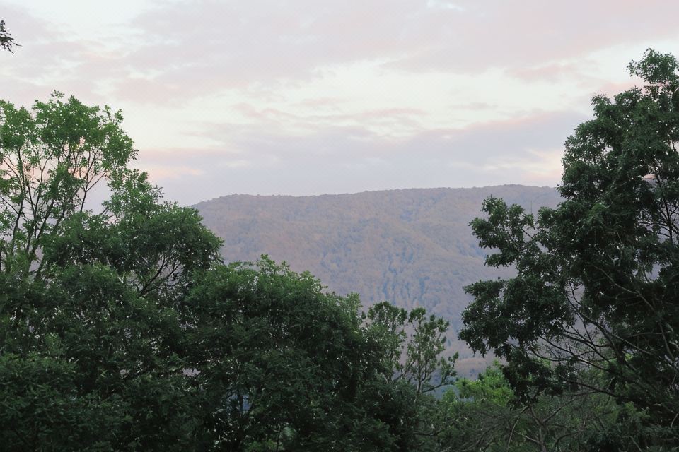 Photo 6 of 6