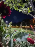 Cevizli Konak - Villas
