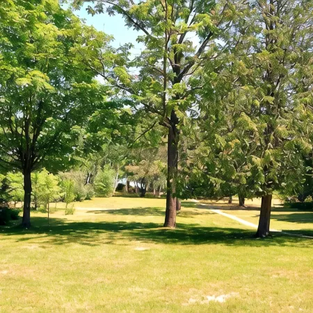 Lakeview at Three Pines Resort