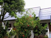 Lamoon Lamai Residence & Guesthouse Hotels near Buffalo Fighting
