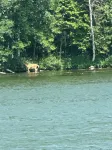 Charming 3-bedroom cabin with WiFi, AC in lovely Upper Turtle Lake.
