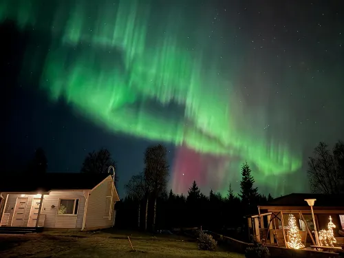 Arctic Resort Delight - Homestays