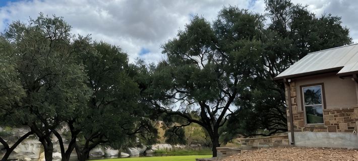 Cosy 1-bedroom cottage with spring-fed creek and spectacular views Hotels in Kerr County