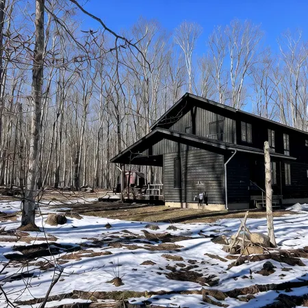 Fantastic Nordic Modern Cabin on Five Idyllic Acres