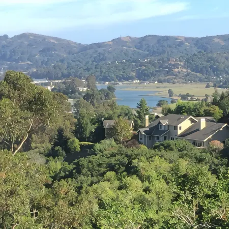 Cozy Studio In The Hills Of Mill Valley.