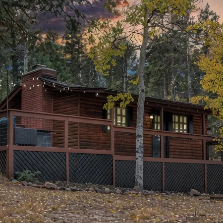 Mini Mountain Retreat surrounded by Trees in enchanting Divide with WiFi