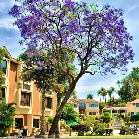 Hotel Hilltone