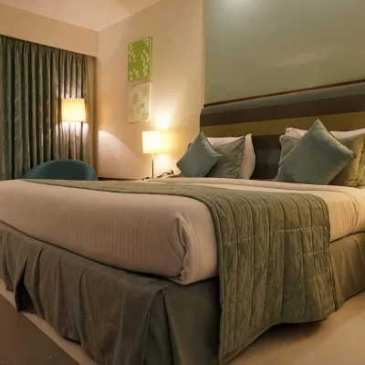 โรงแรม เดลลี เอ็มไพร์ ดีเอ็กซ์ โรงแรมใกล้มัสยิดชามา