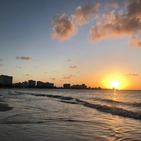 Beach Studio Isla Verde-Sea Dollar #3