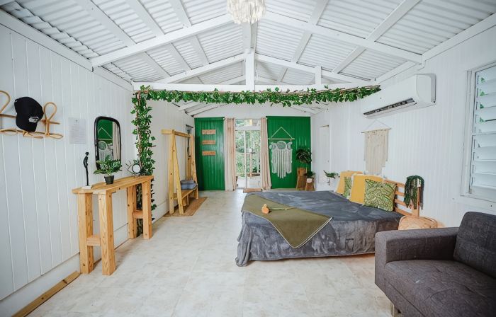 Cozy cabin with hot water jacuzzi and AC in the mountains of Guayama.