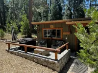 The Little Cabin 🌲The coziest cabin on the Mountain. - WiFi