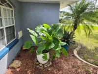 Beautiful Relaxed Sebring Home. - Fitnessstudio