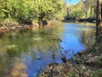 Riverside Getaway - Enjoy Quiet Life Right on the Duck River - Wi-Fi