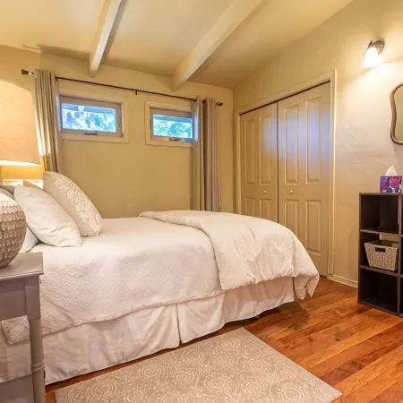 Sparkling Clean Mid Century Modern Home in Ferry Street Bridge Area