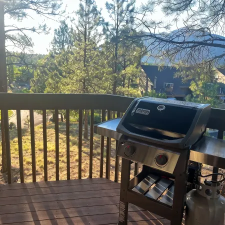 Tranquil Retreat In the Pines w/Mountain Views! Updated 1 Bed 1 Bath