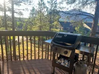Tranquil Retreat In the Pines w/Mountain Views! Updated 1 Bed 1 Bath - غرفة مطلة على الجبل