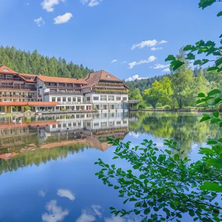 Hotel Langenwaldsee