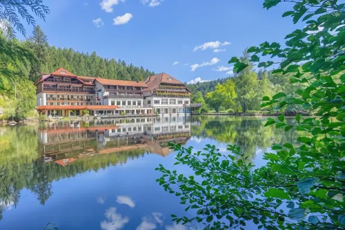 Hotel Langenwaldsee - Parking