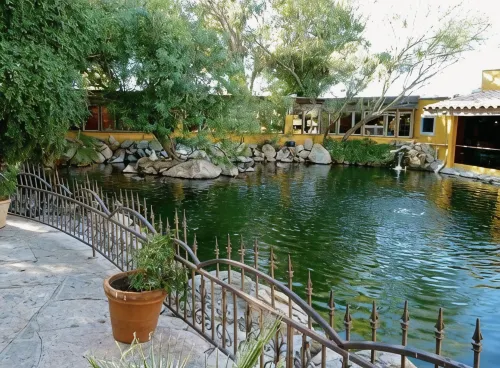 Luxurious Mountain Home with Stunning Views— Minutes from down Town Cave Creek - WiFi
