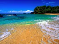 Exquisite Oceanfront Home, 4 Bedrooms, 2 Baths, Central A/C, Sleeps 8 - Beach