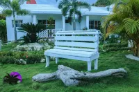 Daymond Blue Tropical Lodge - WiFi