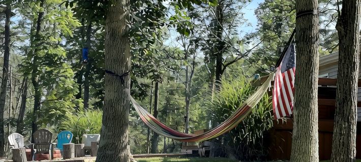 Cozy Lakeside Homestead Hotels in Hardy County