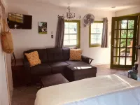 Gumbo Limbo's Dreaded Grape Cabana - Steps from Ocean, Free Bikes, Free WiFi - Homestays