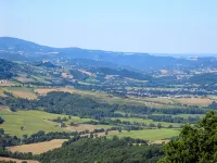 Villa Profidia - WiFi