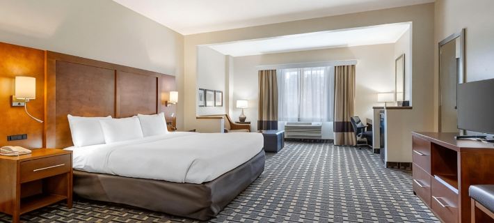 Comfort Inn Summerville - Charleston Hotels in Summerville