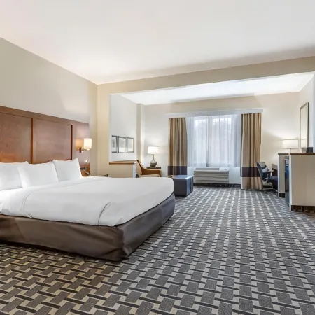 Comfort Inn Summerville - Charleston