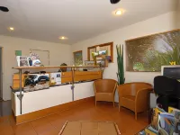 Alfresco Motor Lodge - Интернет