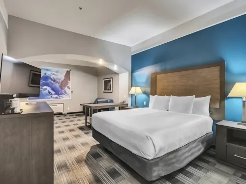 Platinum Inn & Suites Webster - Pet Friendly